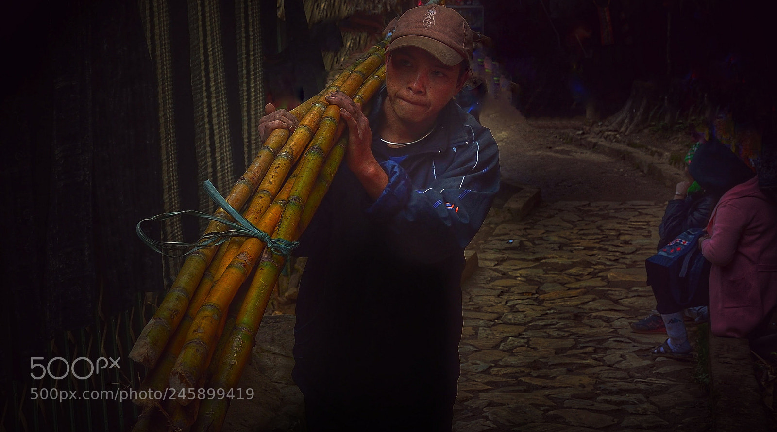 Nikon D3200 sample photo. Bamboo photography