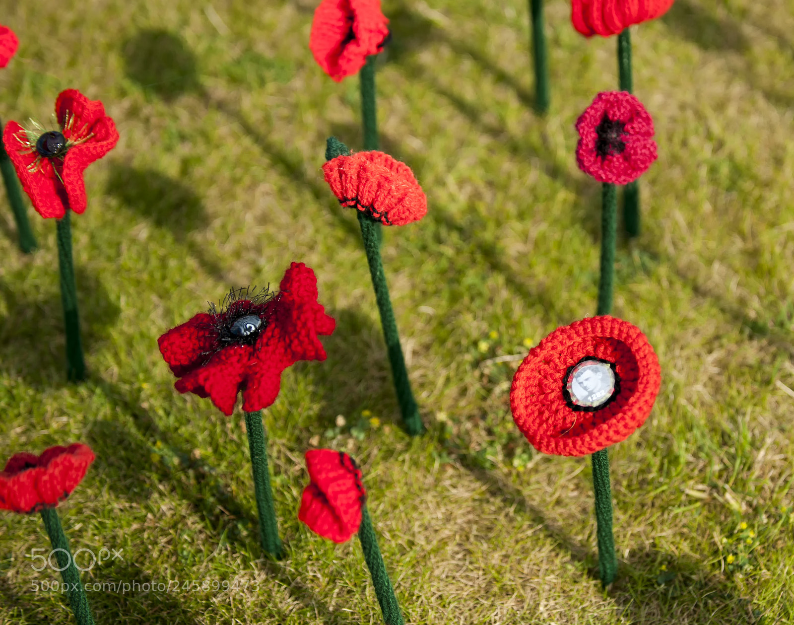 Nikon D700 sample photo. Cimetière . soldat 1282.jpg photography