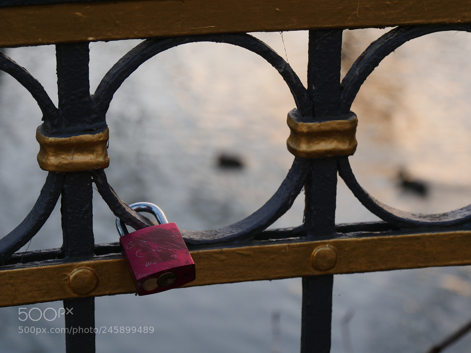 Panasonic Lumix DMC-GH4 sample photo. Schloss photography