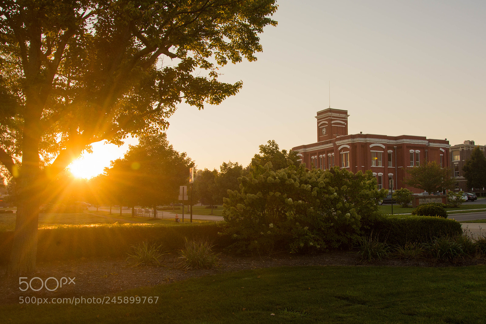 Nikon D7100 sample photo. Light of knowledge photography