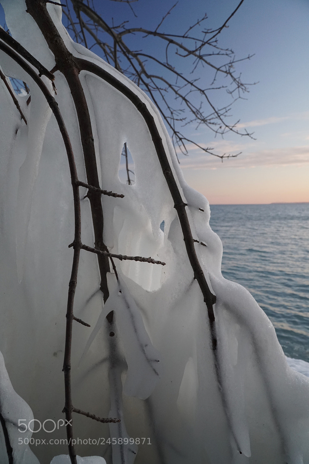 Sony a6300 sample photo. Ice covered branches on photography