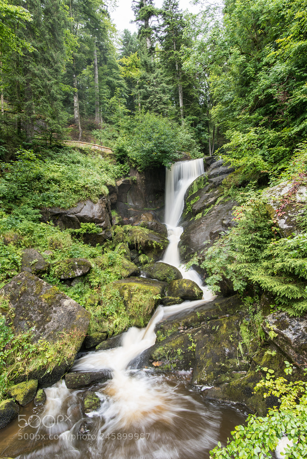 Nikon D810 sample photo. German triberg waterfalls photography