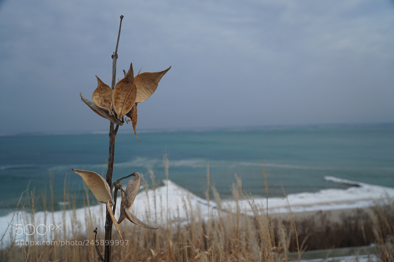 Sony a6300 sample photo. Winter in wisconsin. photography