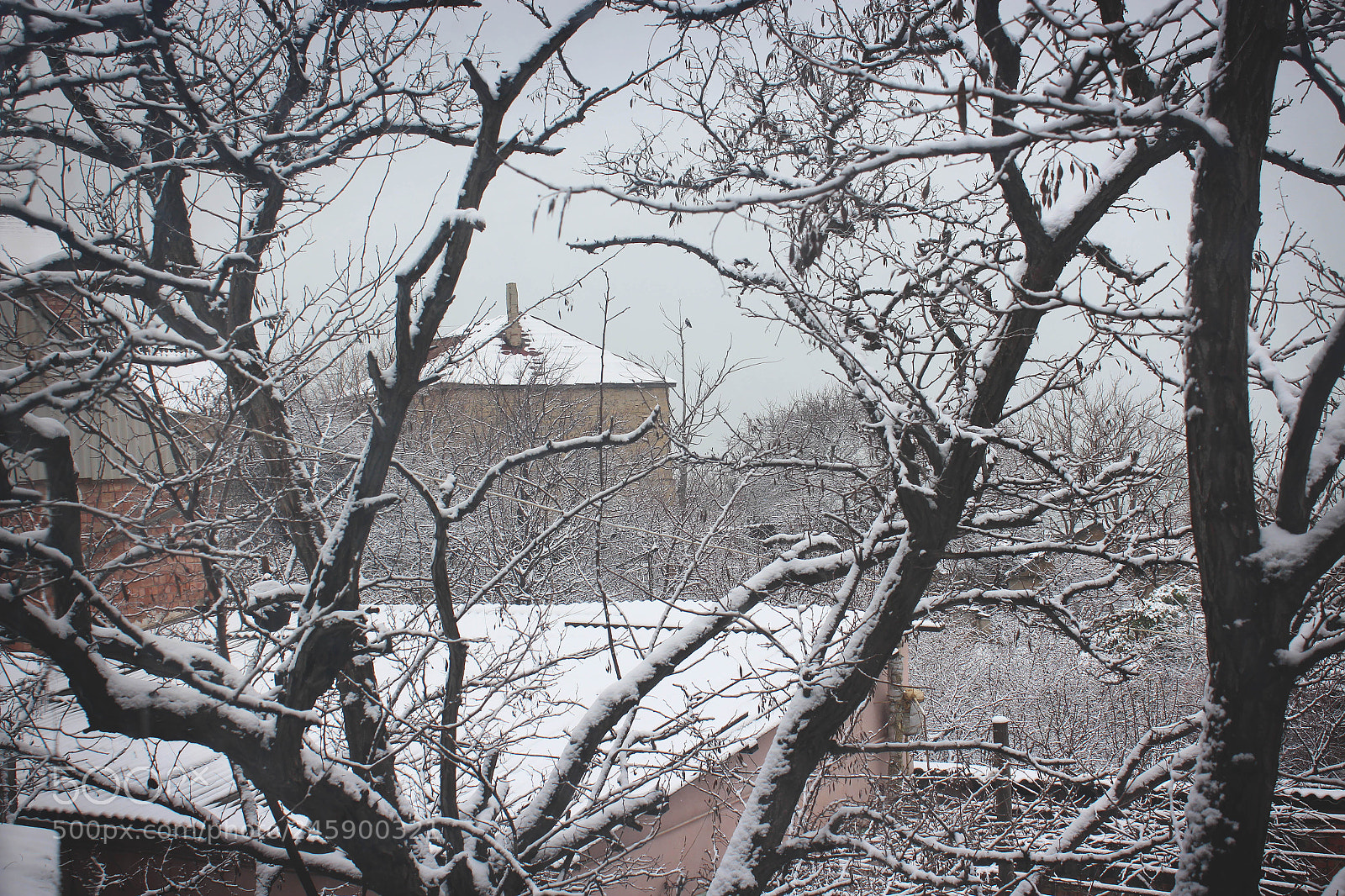 Canon EOS 650D (EOS Rebel T4i / EOS Kiss X6i) sample photo. Snowy day #2 photography