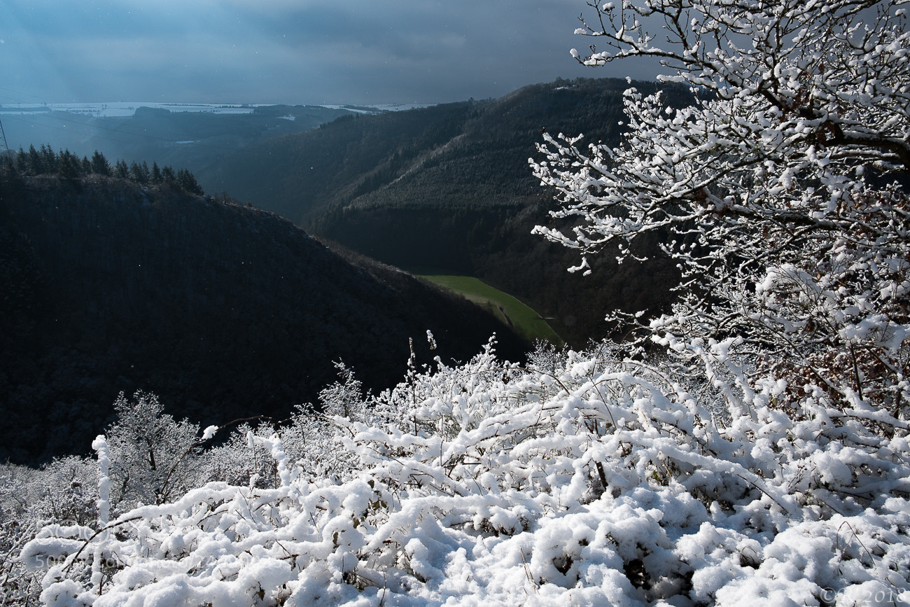 Fujifilm X-T2 sample photo. Winter contrasts photography