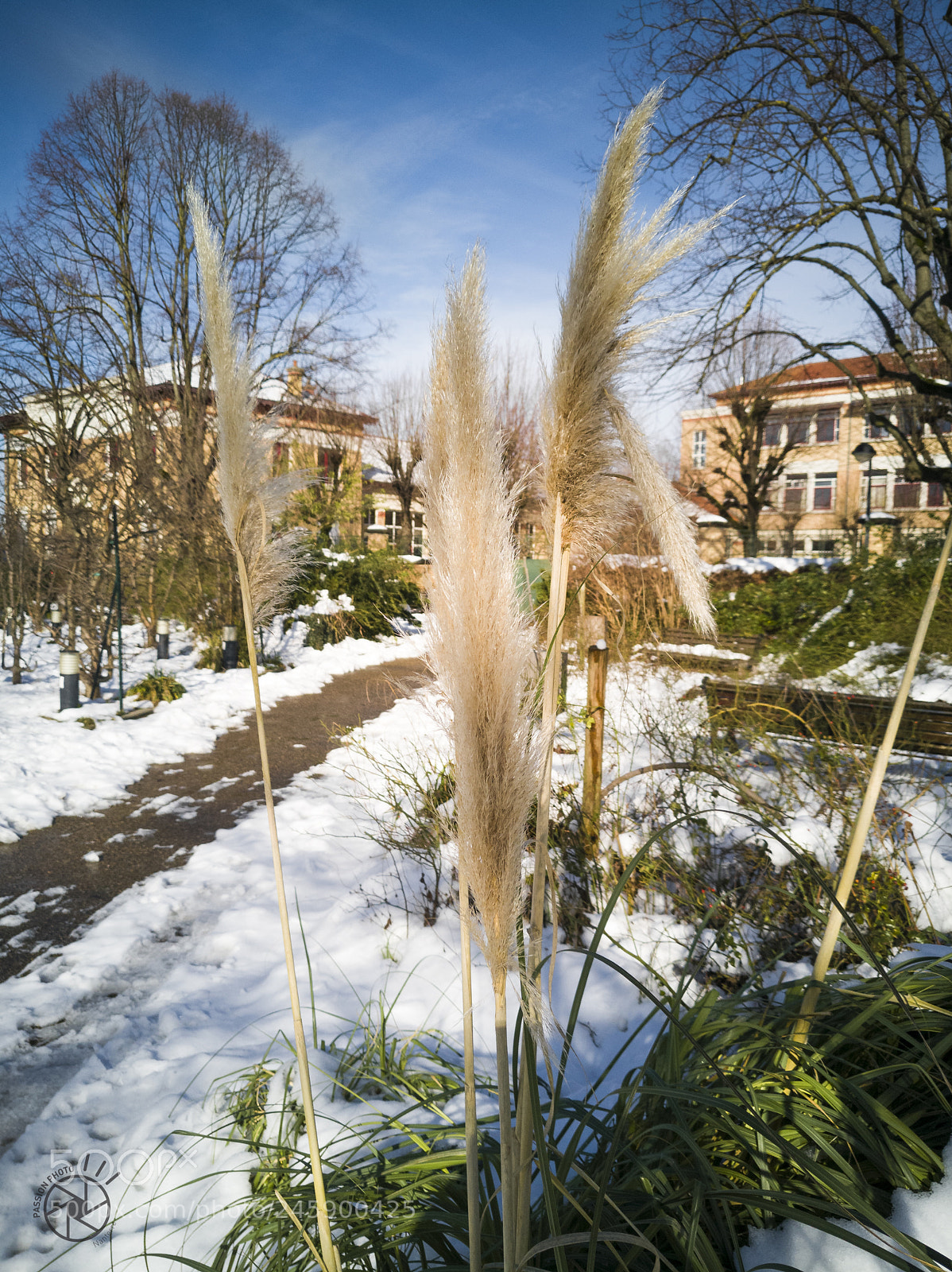 HUAWEI P10 Plus sample photo. Neige chaude photography