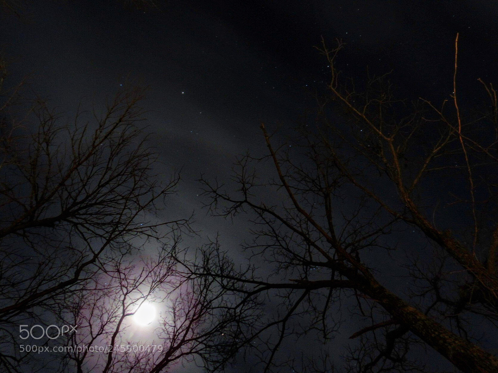 Canon PowerShot SX530 HS sample photo. Super moon photography