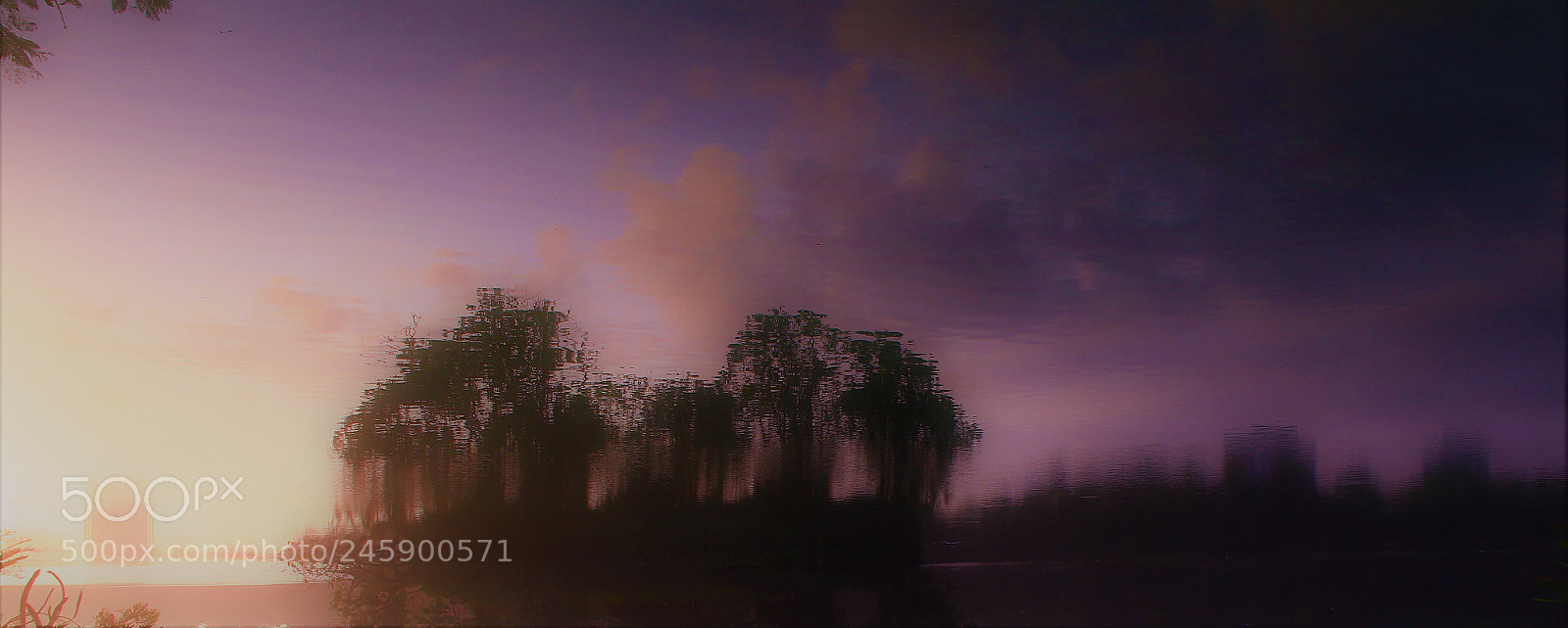 Canon EOS 550D (EOS Rebel T2i / EOS Kiss X4) sample photo. Vanilla sky photography