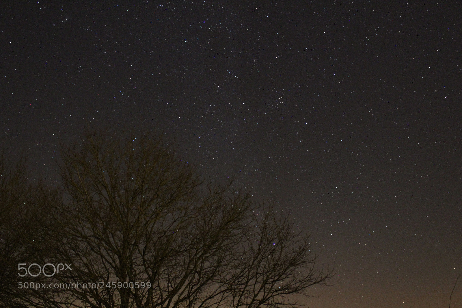Canon EF-S 18-55mm F3.5-5.6 III sample photo. Look at the stars photography