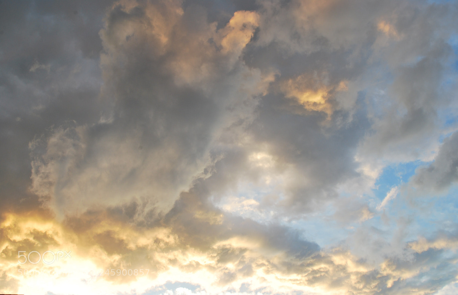 Nikon D60 sample photo. Untitled photography