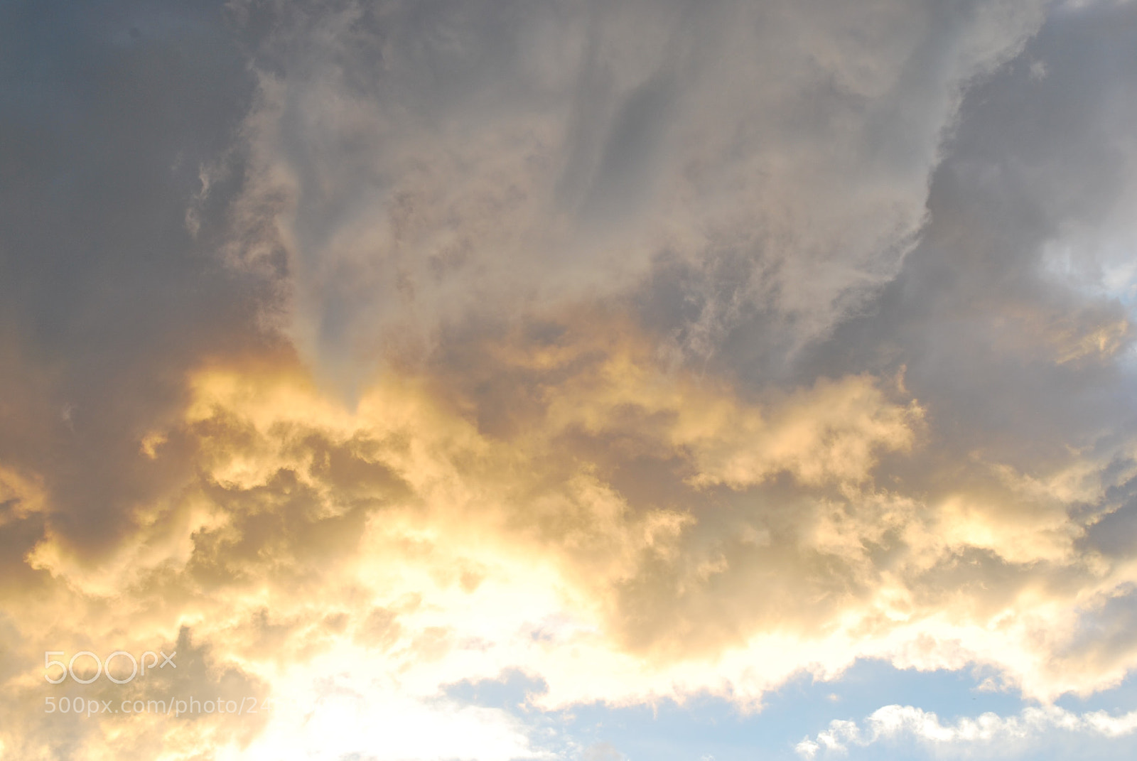Nikon D60 sample photo. Untitled photography