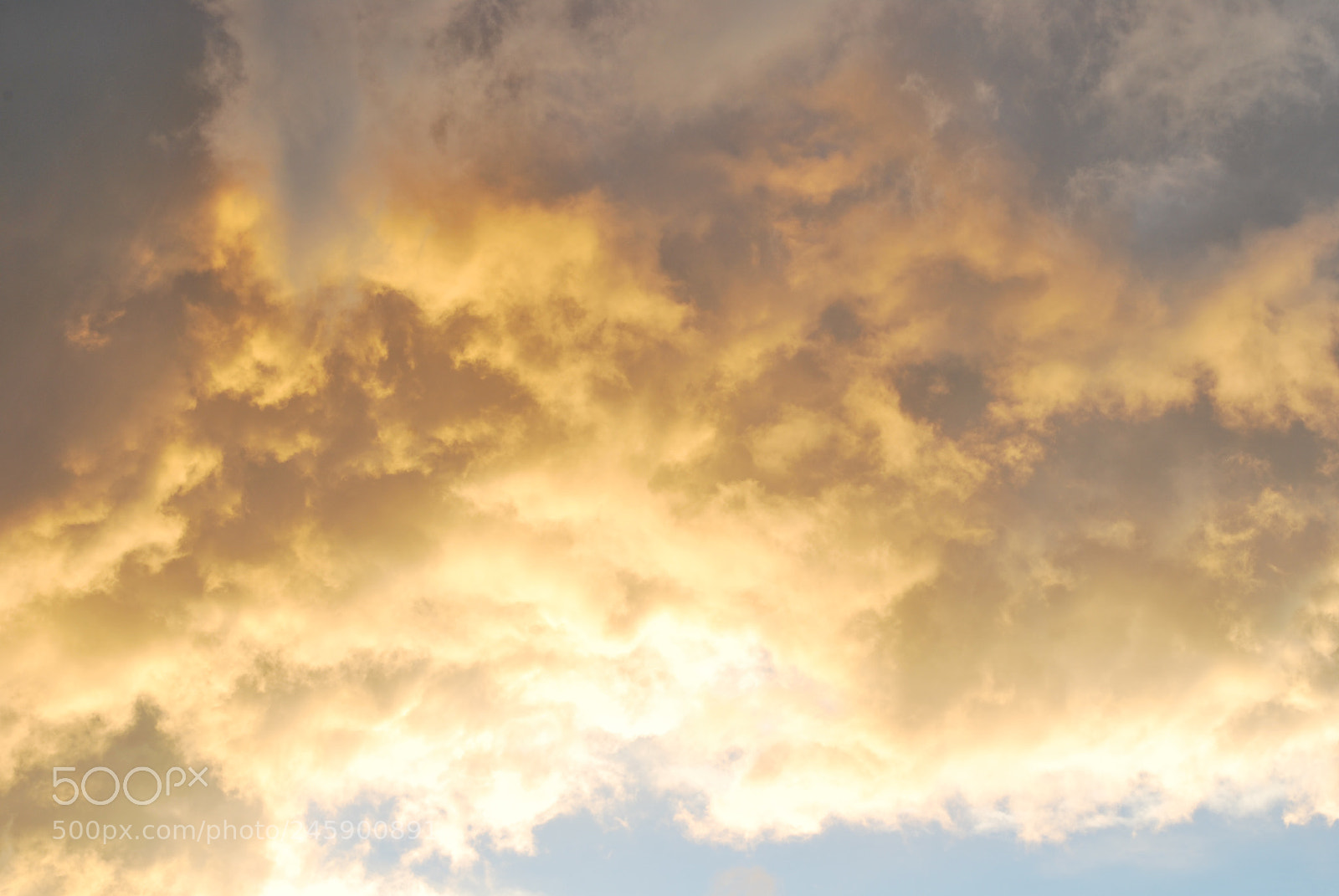 Nikon D60 sample photo. Untitled photography
