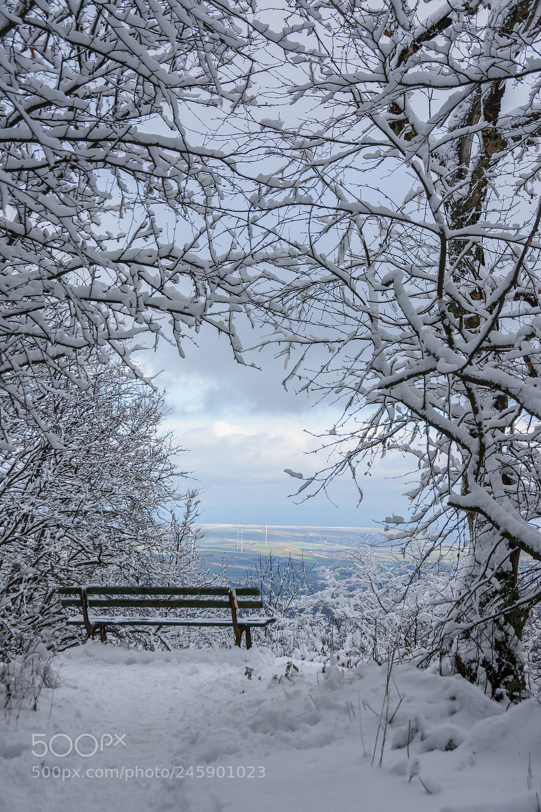 Nikon D7200 sample photo. Winterlicher blick in die photography
