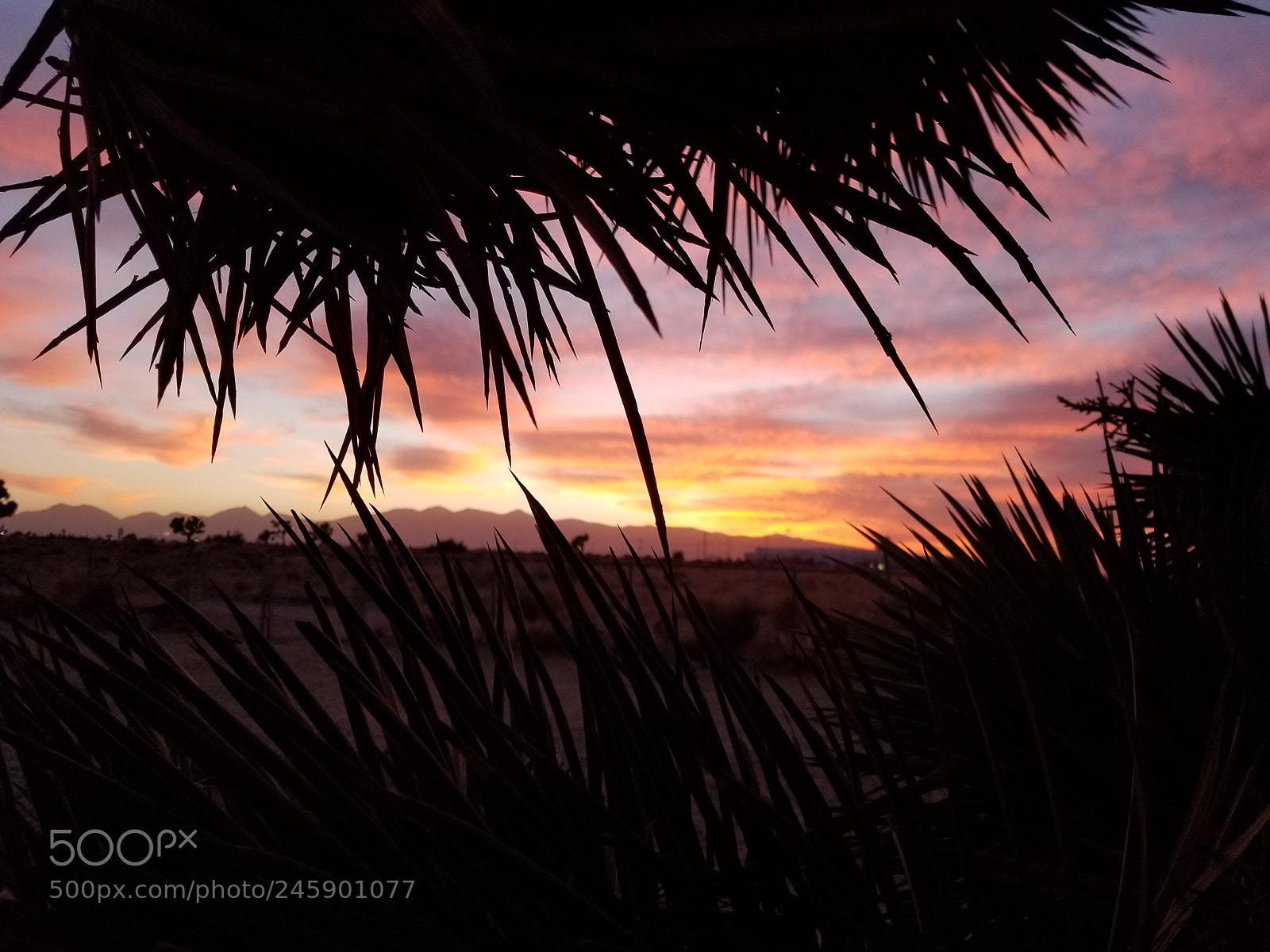 Samsung Galaxy S8 sample photo. Desert sunsets photography