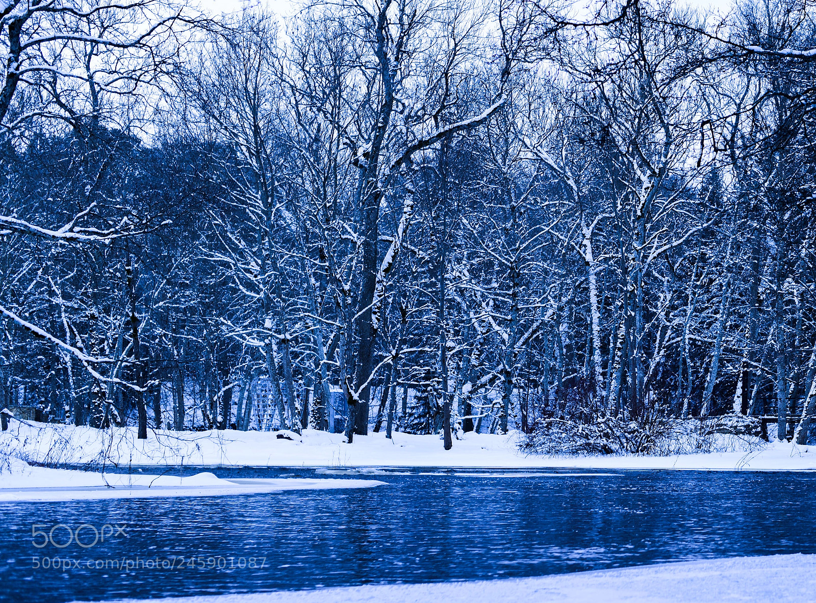Nikon D850 sample photo. Winter wonderland photography