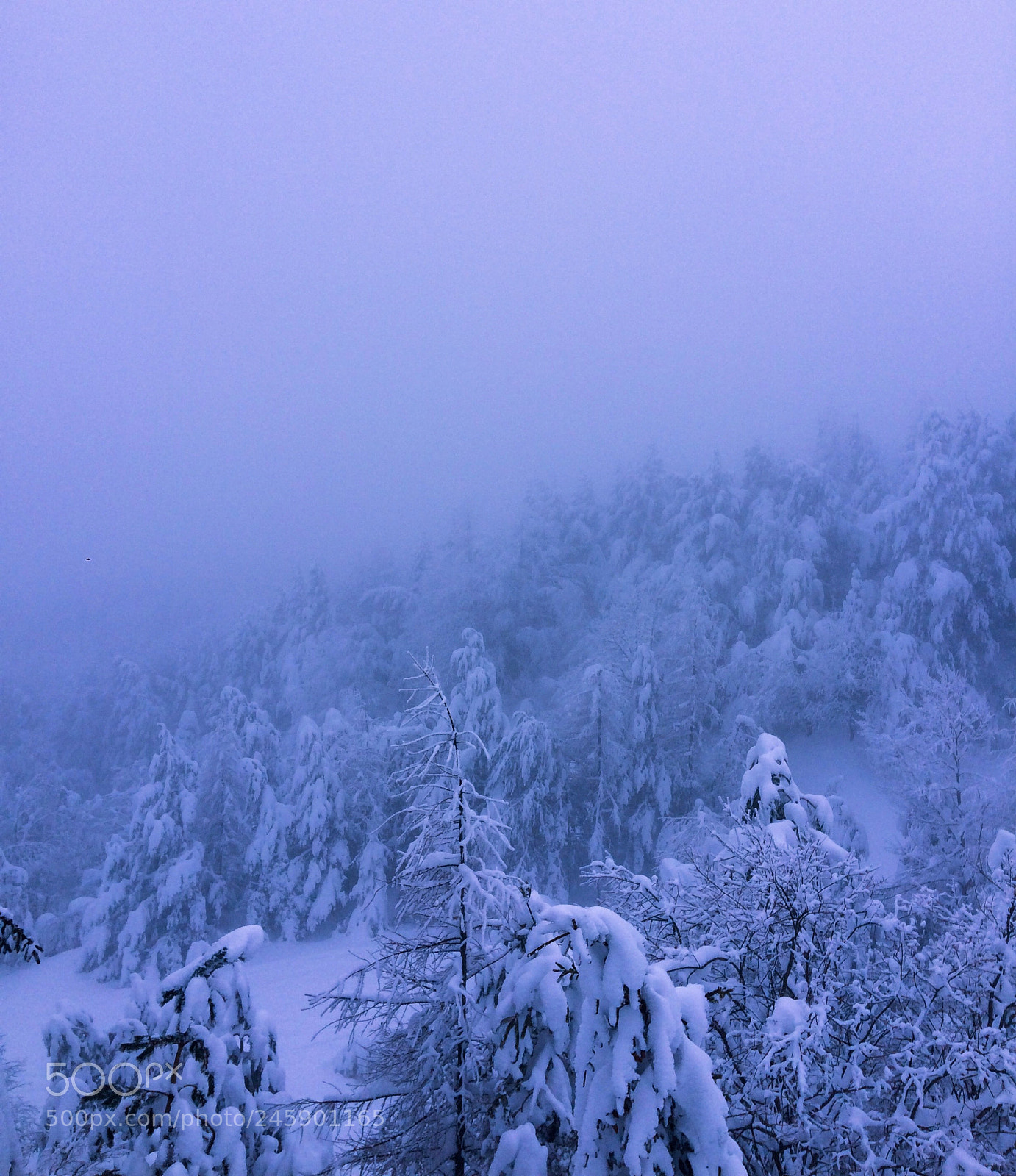 Apple iPhone 5s sample photo. Snow and fog photography
