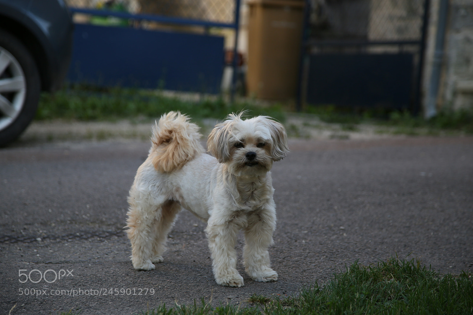 Canon EOS 6D + Canon EF 24-105mm F4L IS USM sample photo. Untitled photography