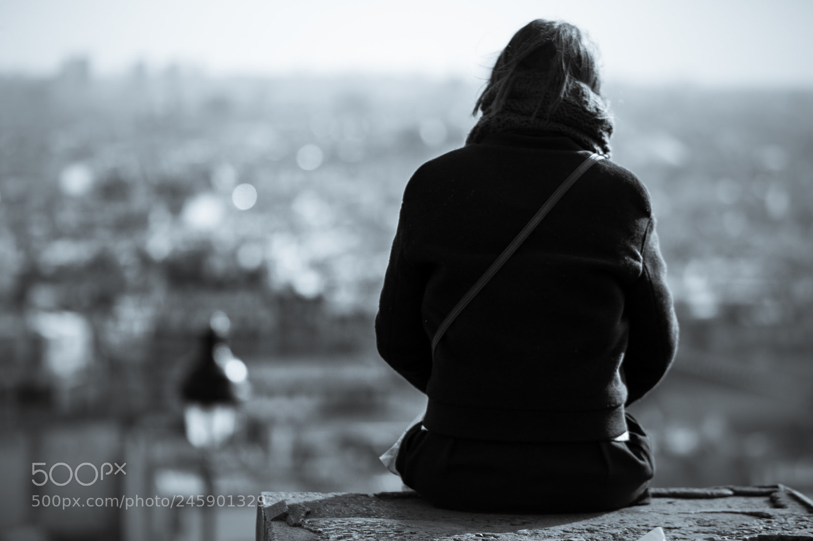 Canon EOS 760D (EOS Rebel T6s / EOS 8000D) sample photo. Contemplating paris from the photography