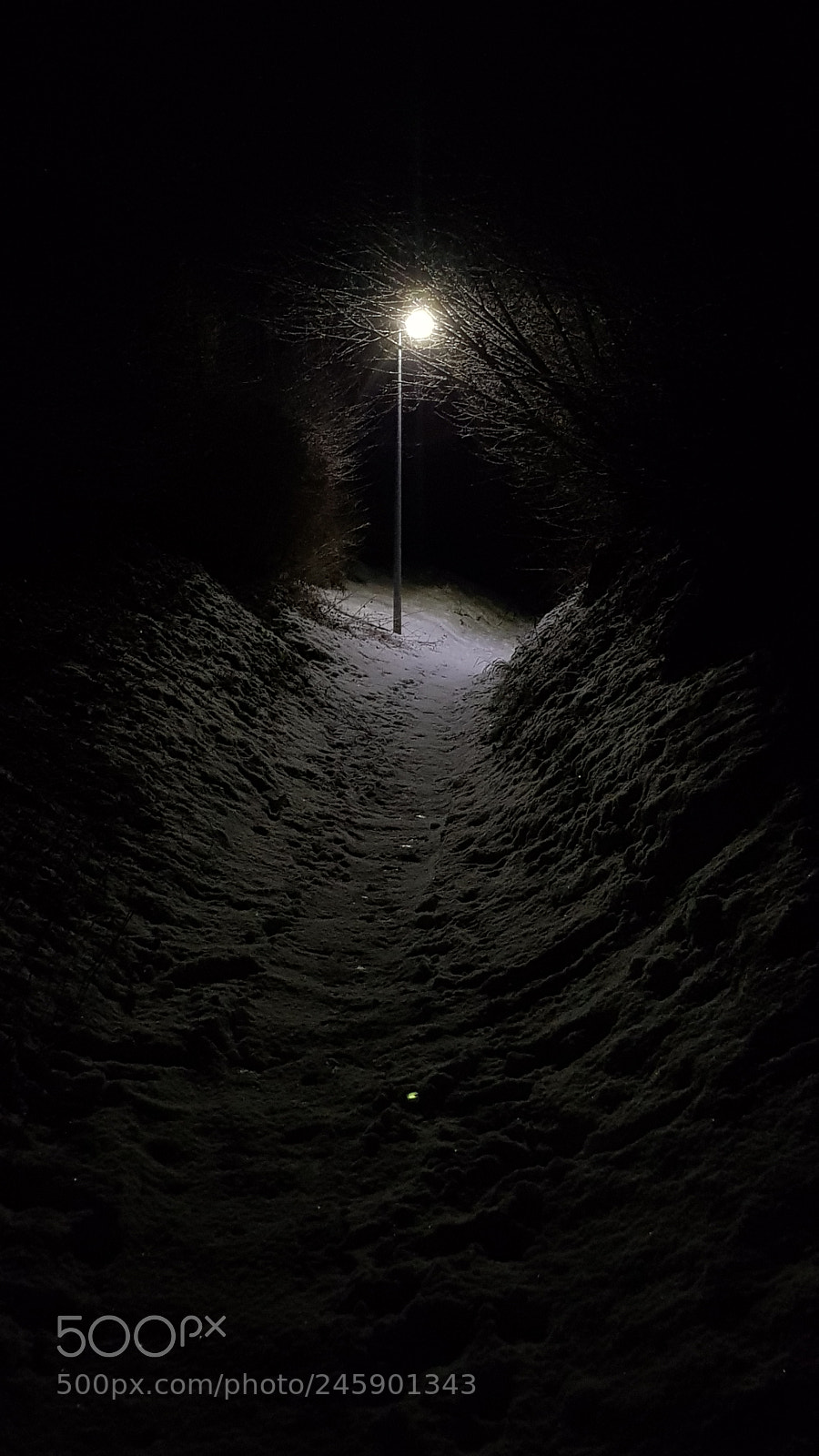 Samsung Galaxy S8 sample photo. Untitled photography