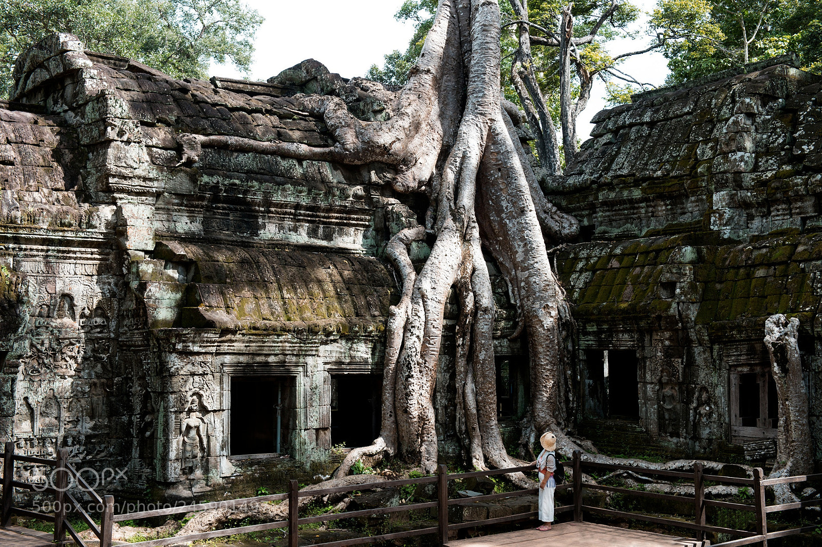 Nikon Df sample photo. Ta prohm temple and photography