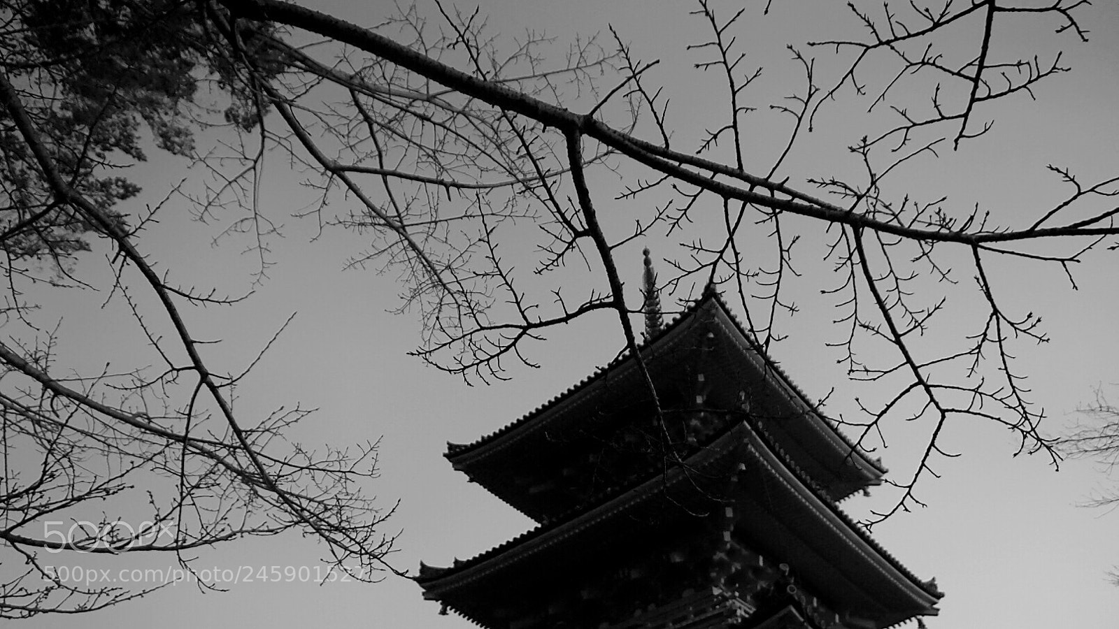 Sony Alpha a5000 (ILCE 5000) sample photo. View photography