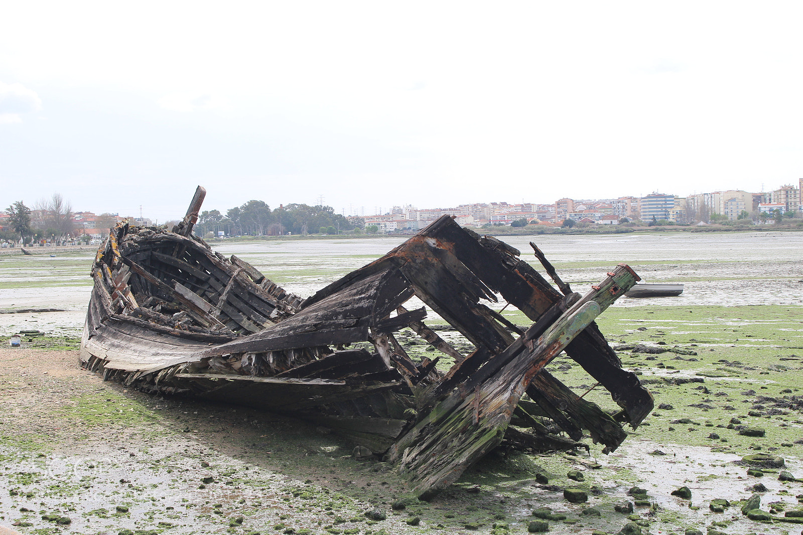 Canon EOS 100D (EOS Rebel SL1 / EOS Kiss X7) sample photo. Seixal photography