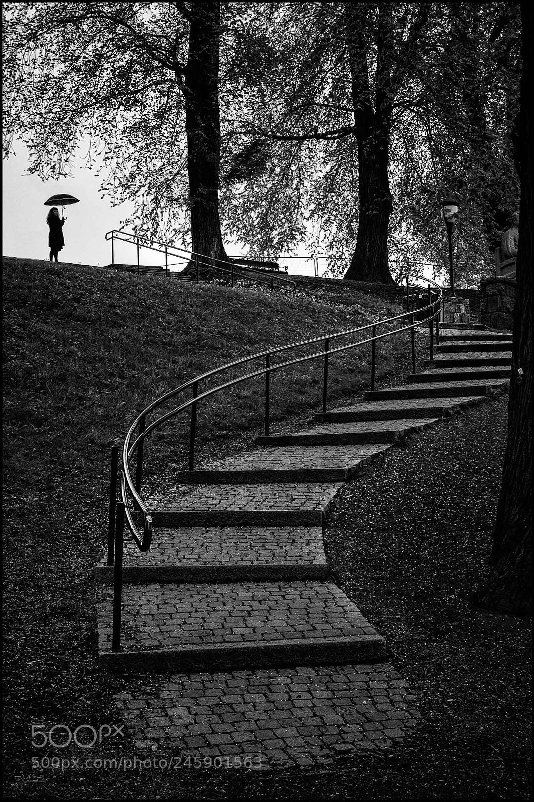 Olympus PEN-F sample photo. At a distance photography