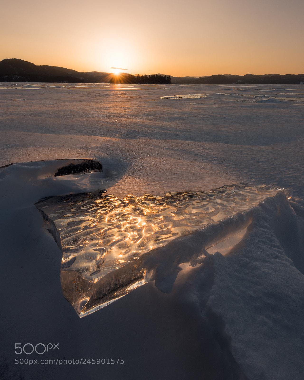 Nikon D810 sample photo. Morning sun photography