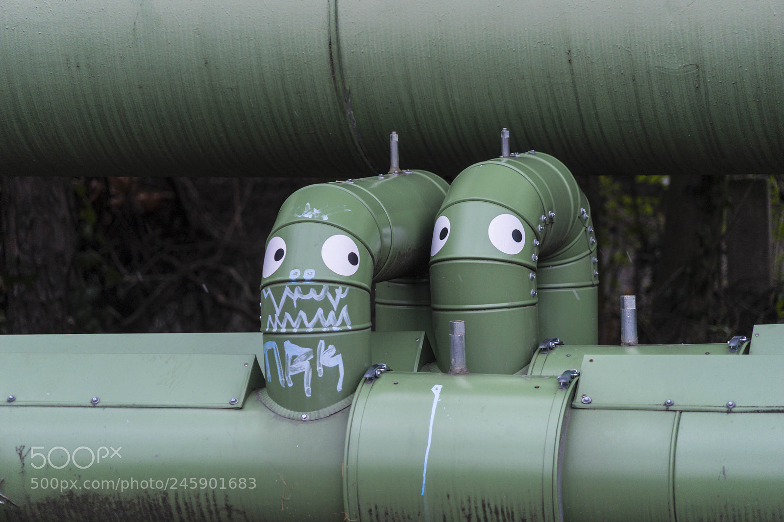 Sony a7 sample photo. Dsc photography