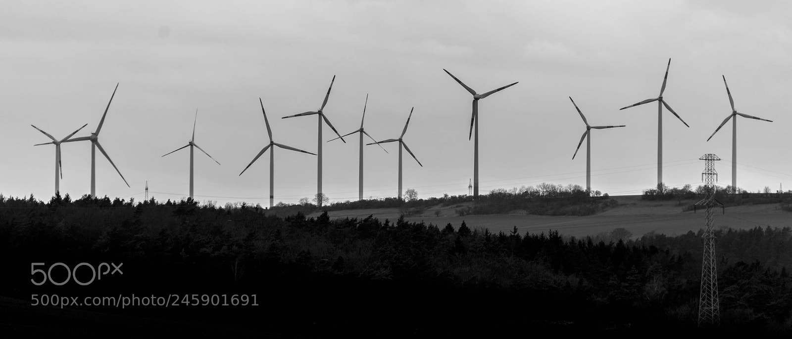 Sony a7 sample photo. Dsc photography