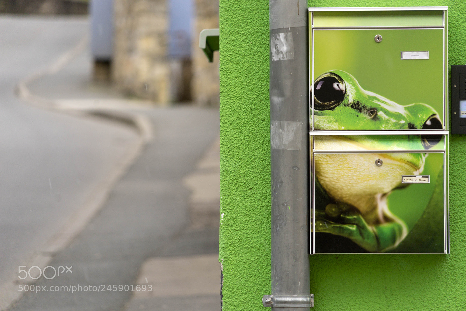 Sony a7 sample photo. Dsc photography