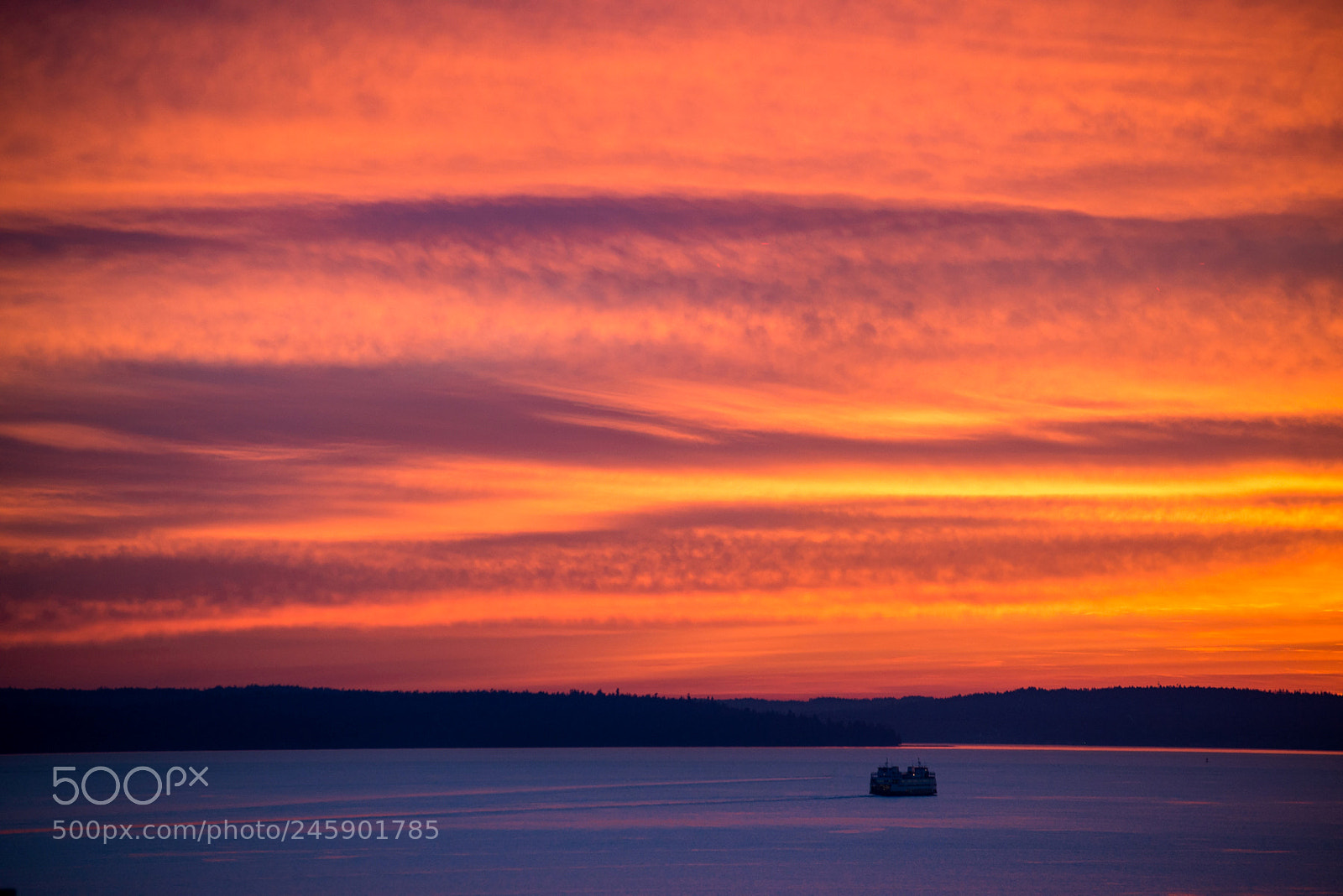Nikon D800 sample photo. Sunset ferry photography