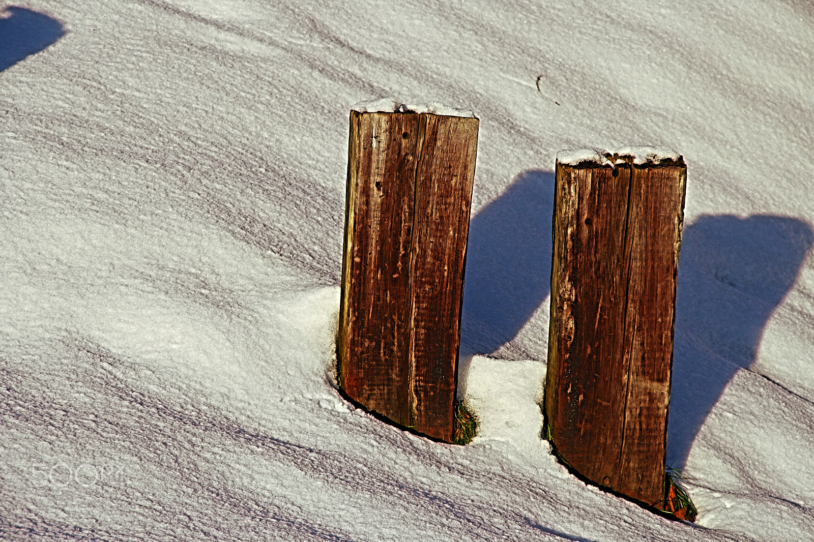 Canon EOS 1000D (EOS Digital Rebel XS / EOS Kiss F) sample photo. Winter minimalism photography