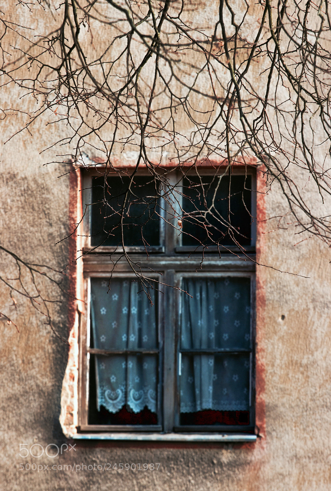 Canon EOS 600D (Rebel EOS T3i / EOS Kiss X5) sample photo. Osten photography