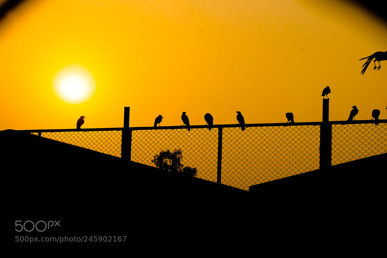 Sony Alpha a3000 sample photo. Sunset photography
