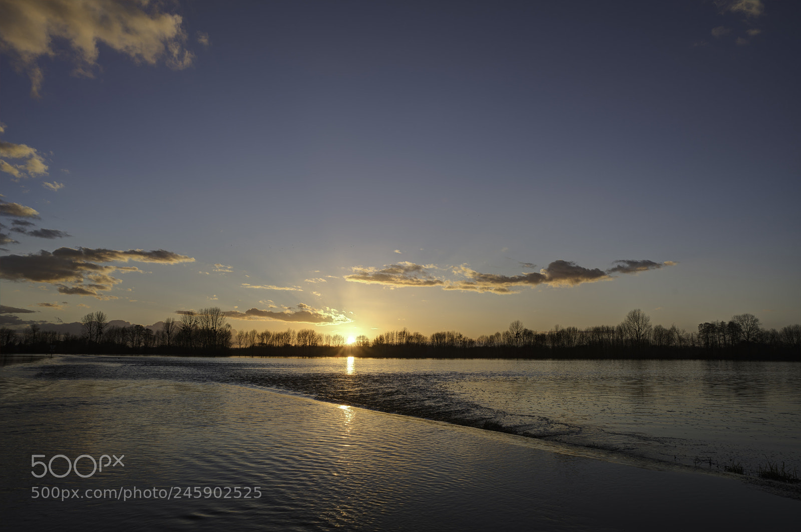 Pentax K-1 sample photo. Flooded photography