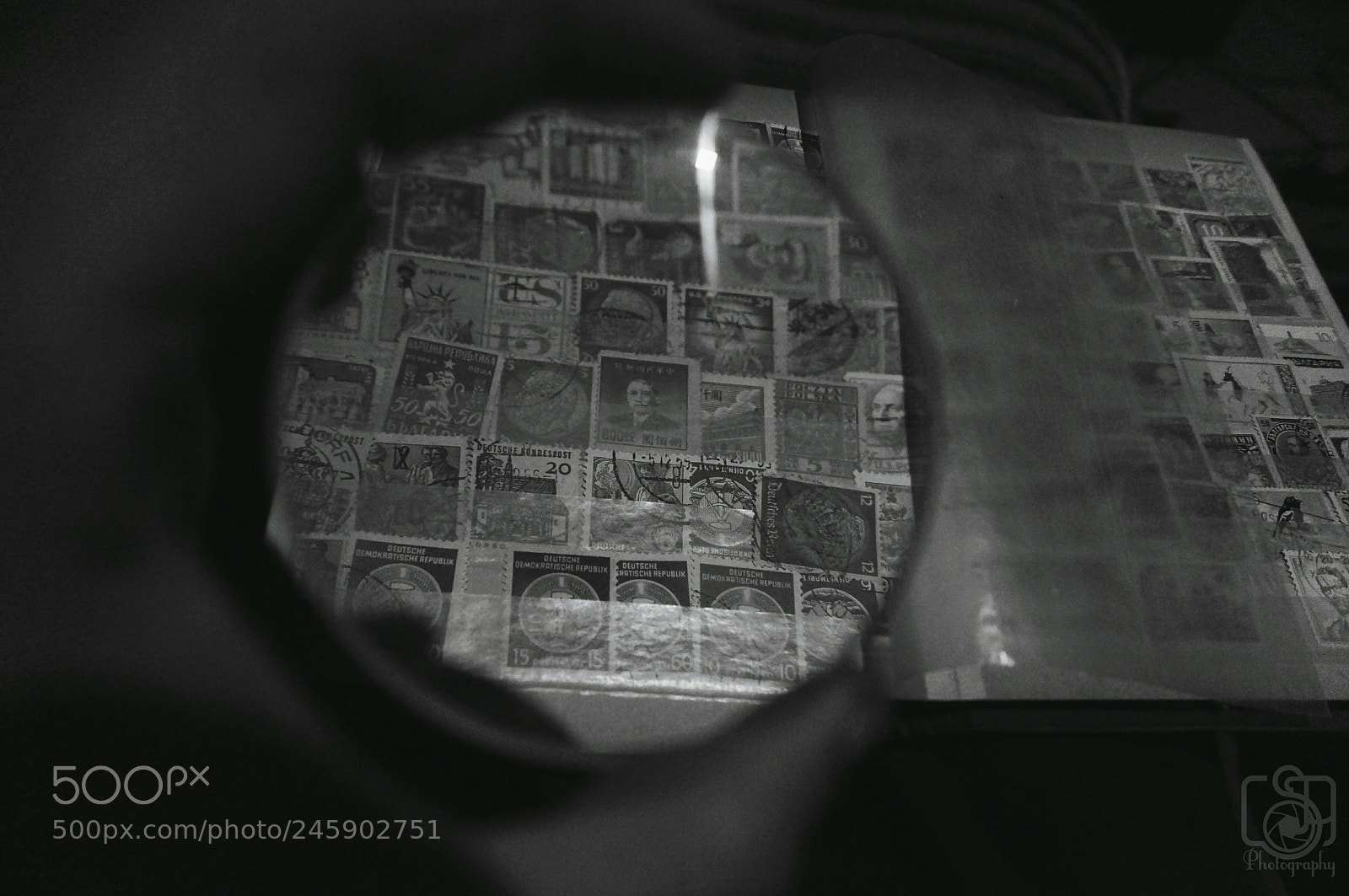 Sony Alpha NEX-5N sample photo. Untitled photography