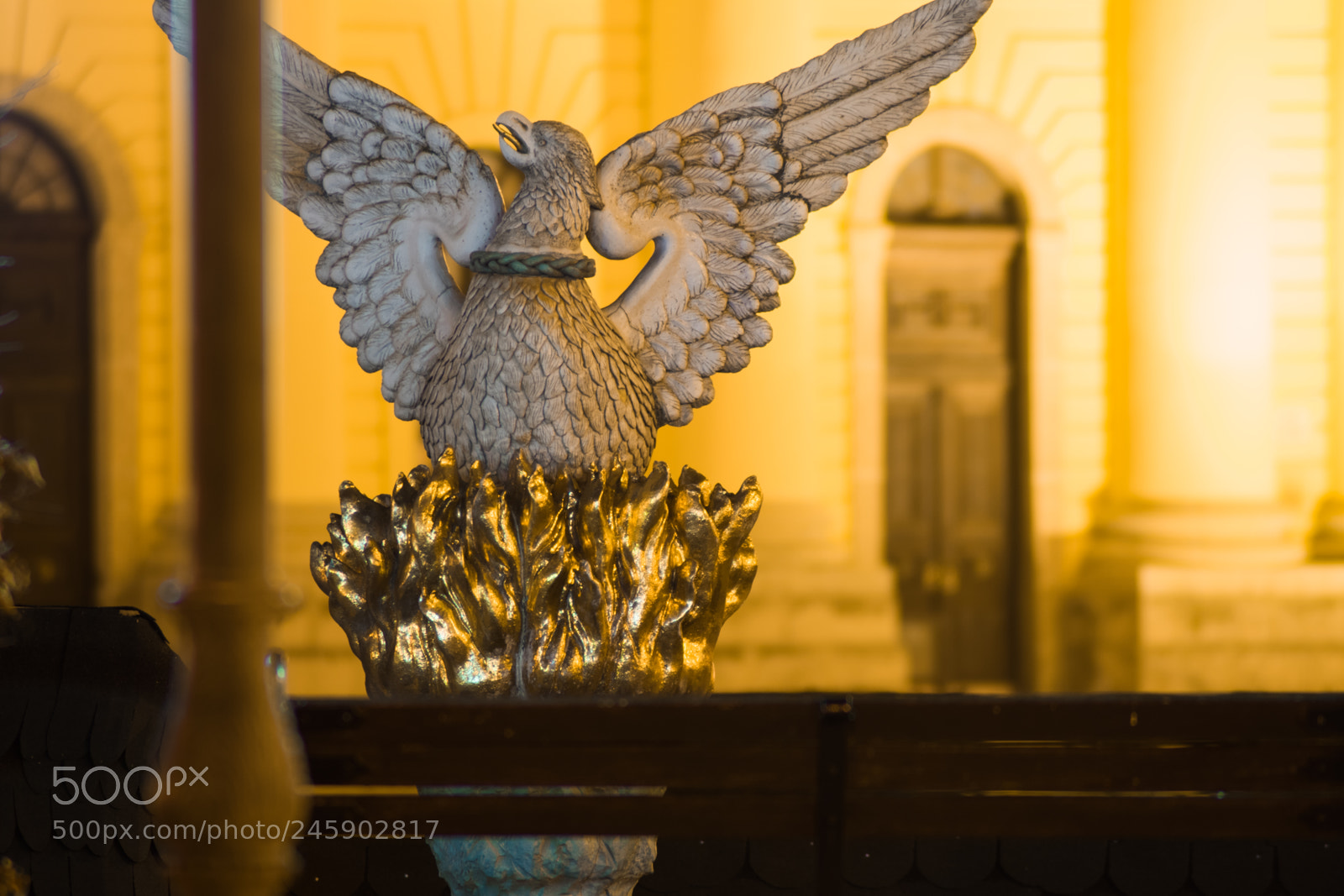 Nikon D3400 sample photo. Phoenix photography