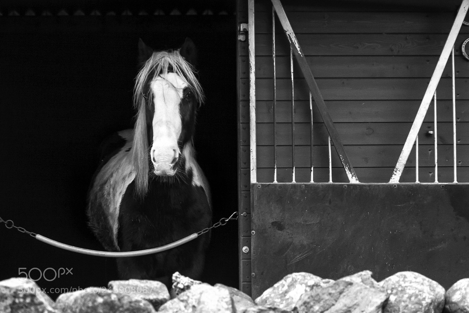 Canon EOS 50D sample photo. Let me out of photography