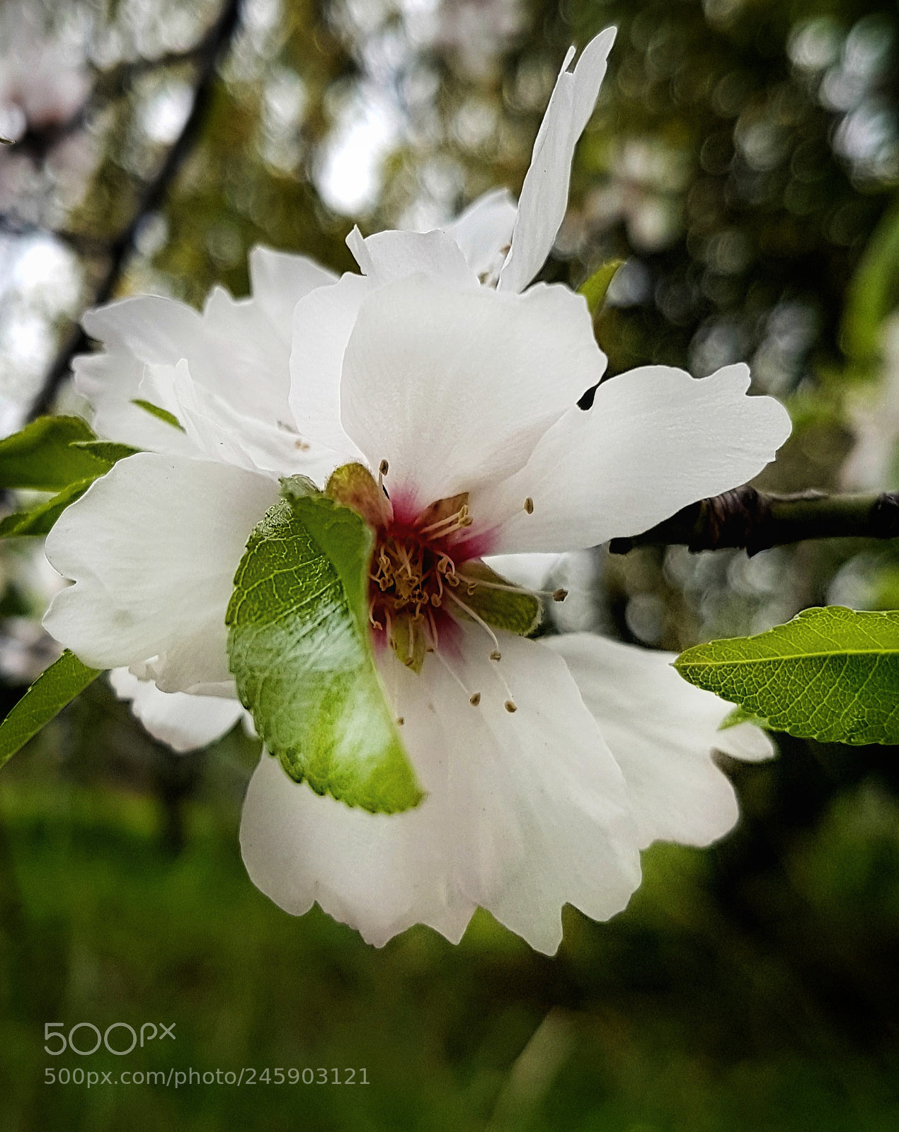 Samsung Galaxy S7 sample photo. Untitled photography