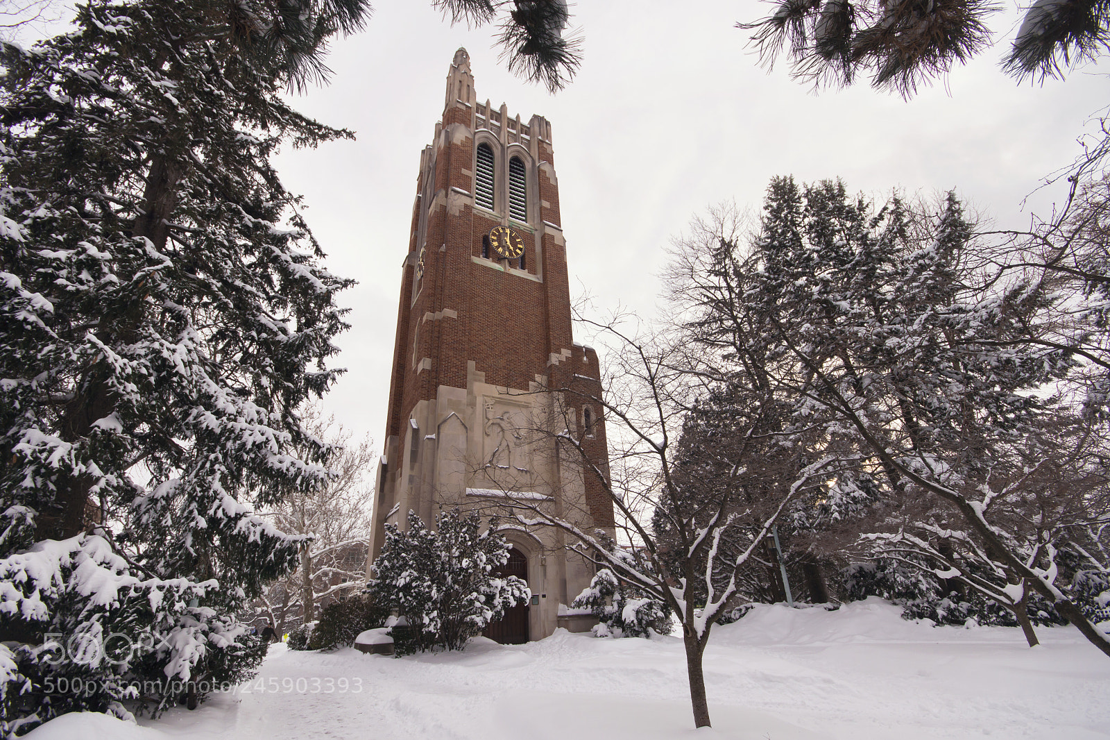 Sony SLT-A65 (SLT-A65V) sample photo. Beaumont snow photography