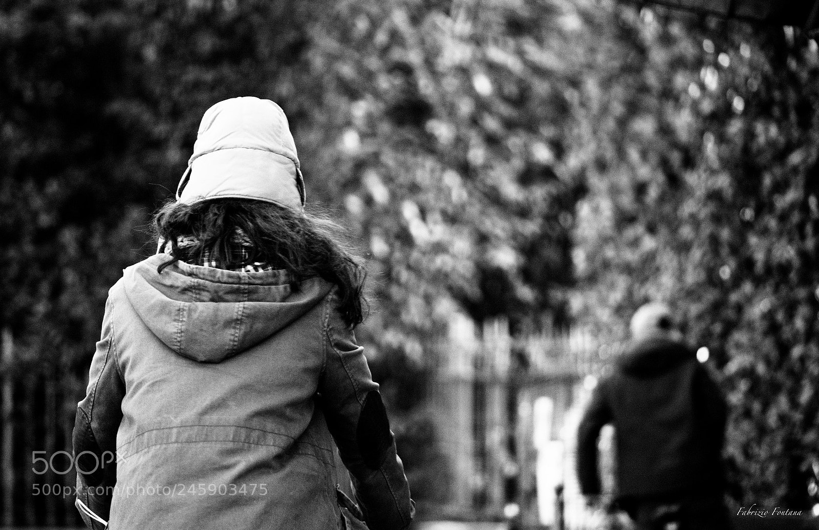 Nikon D500 sample photo. Untitled photography