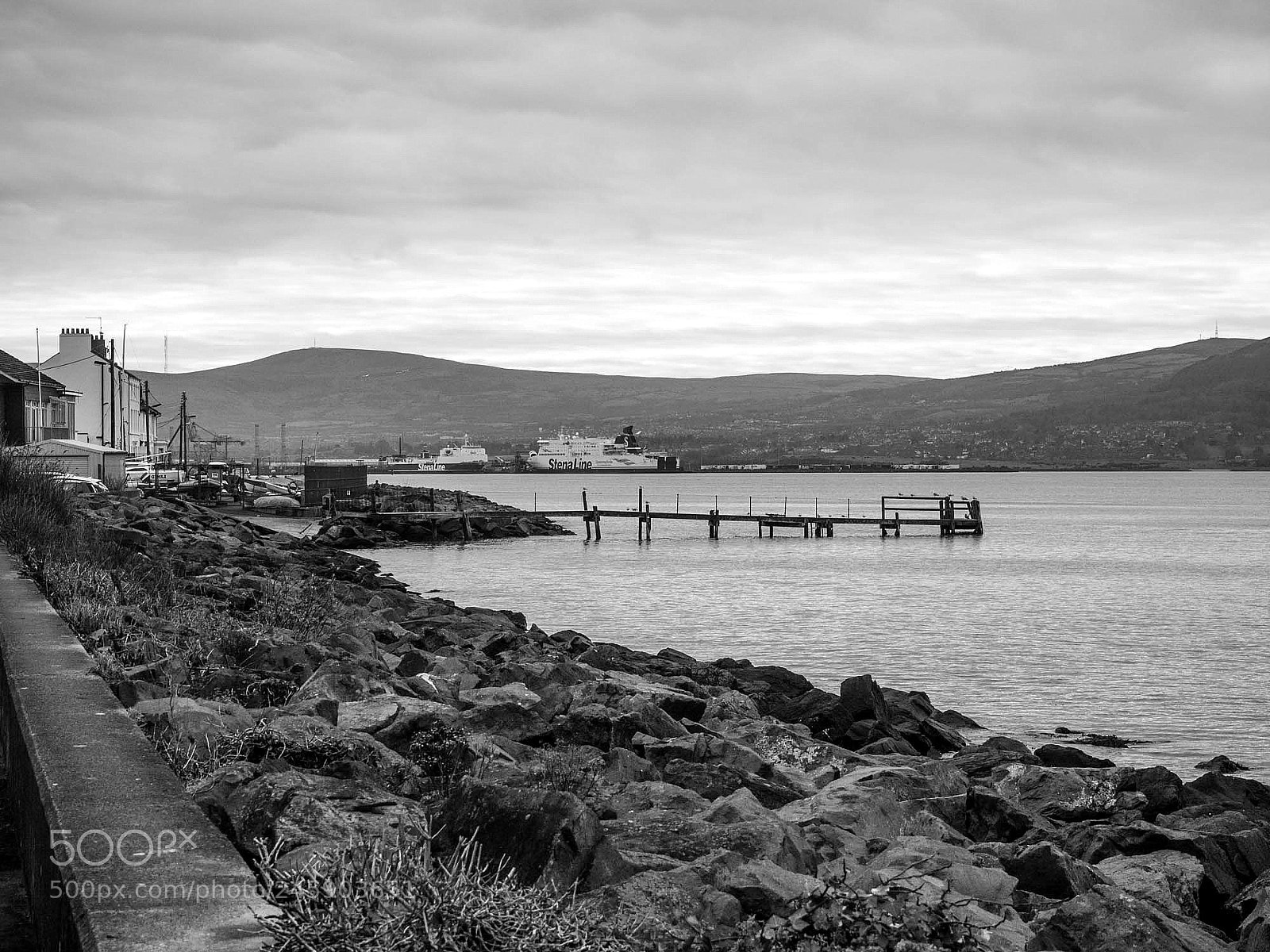 Olympus OM-D E-M5 sample photo. Belfast lough photography