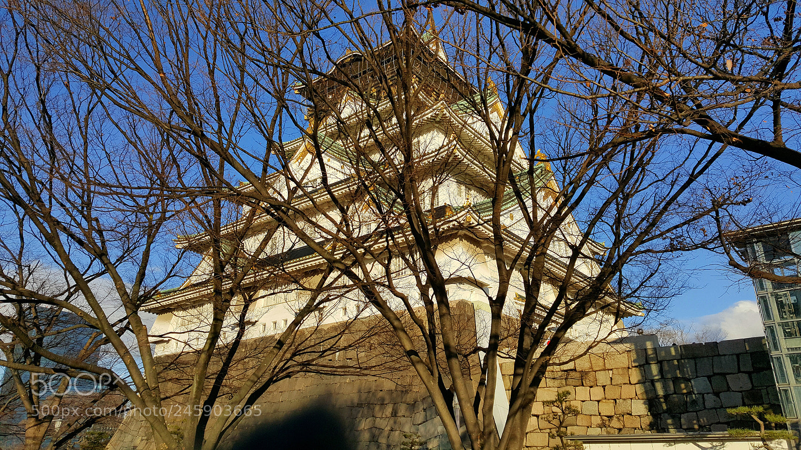 Samsung GALAXY S6 edge sample photo. Untitled photography