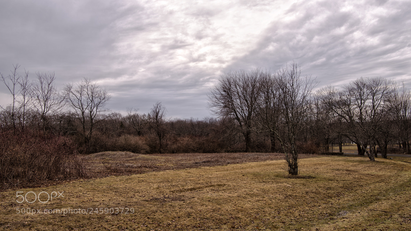 Nikon D810 sample photo. Cloudy day at bolton photography