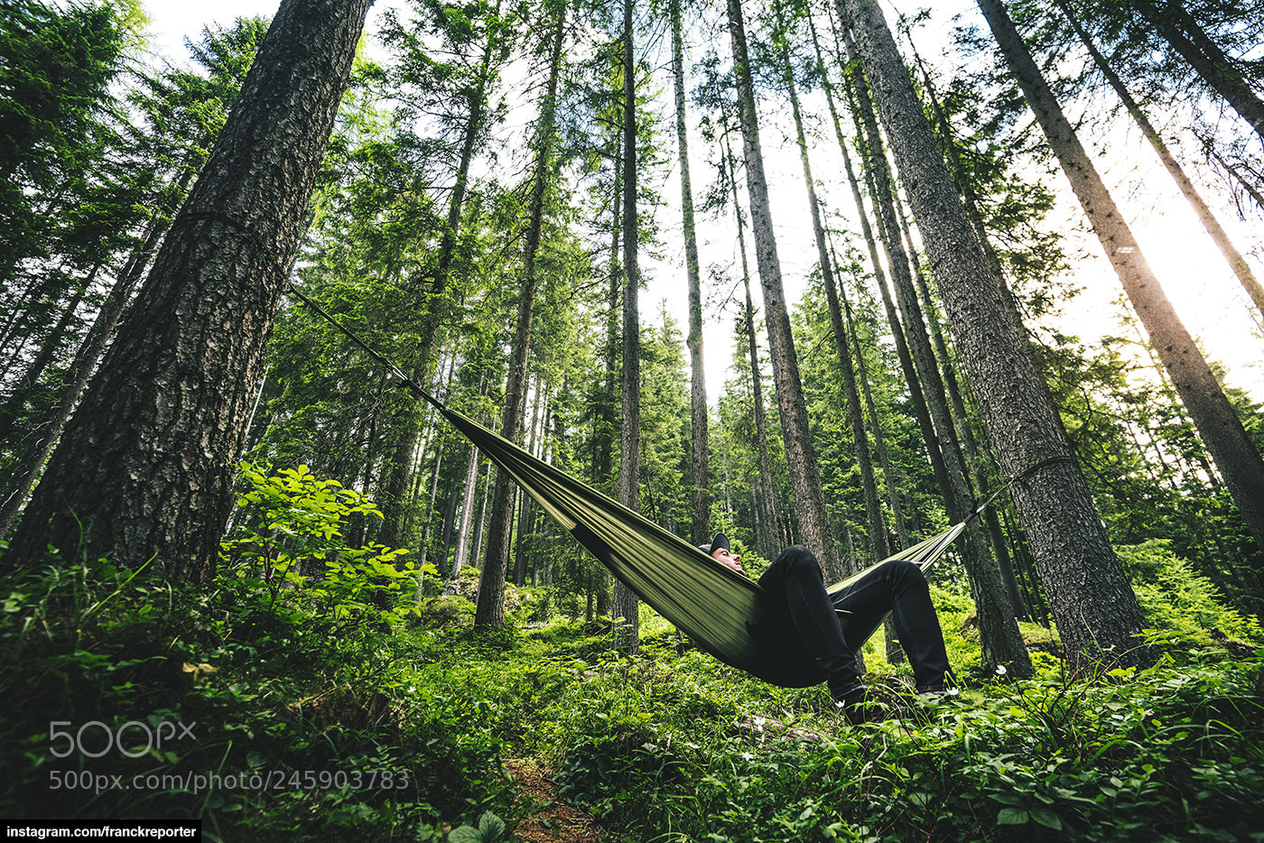 Nikon D810 sample photo. Man on the hammock photography