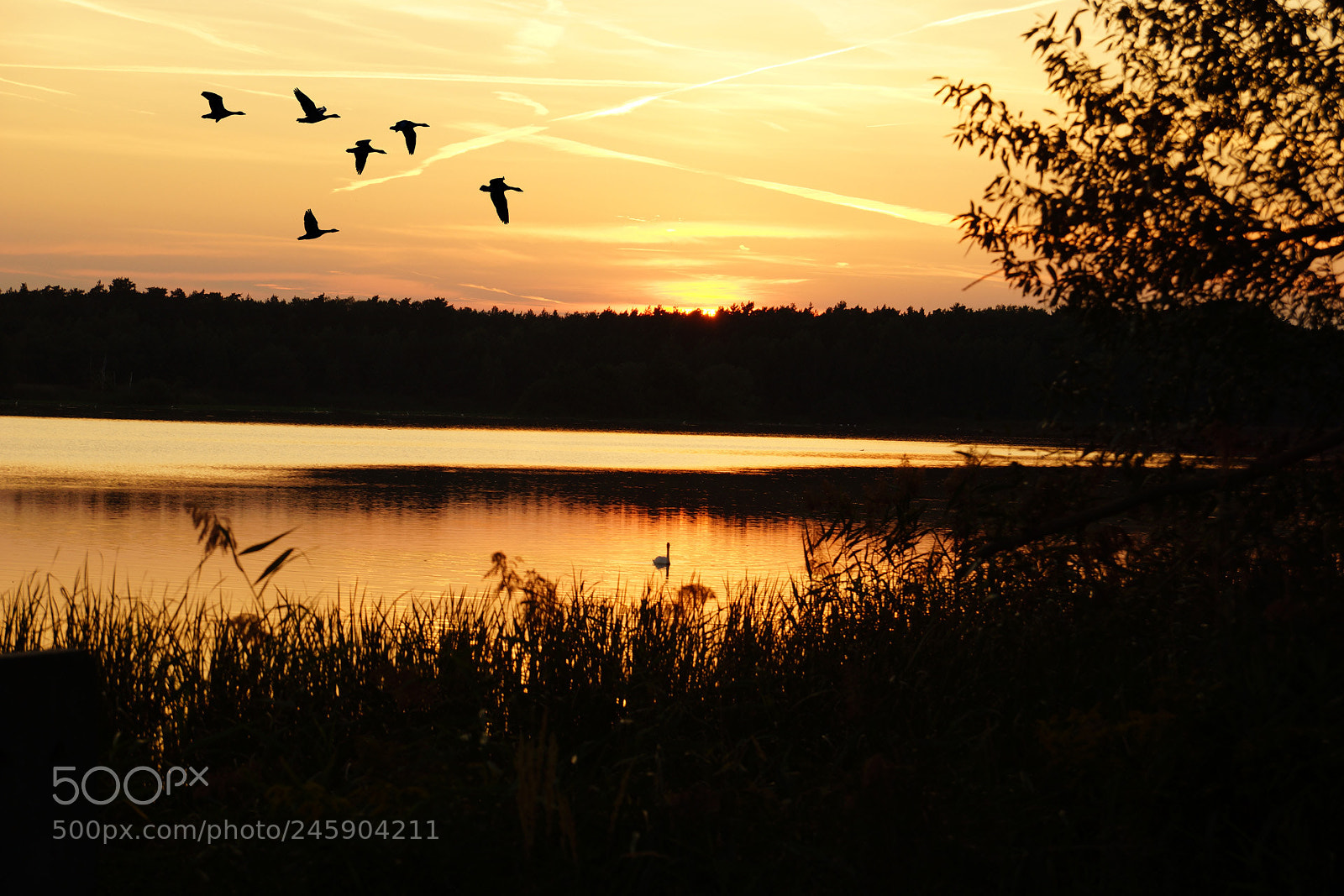 Sony SLT-A77 sample photo. Sonnenuntergang photography