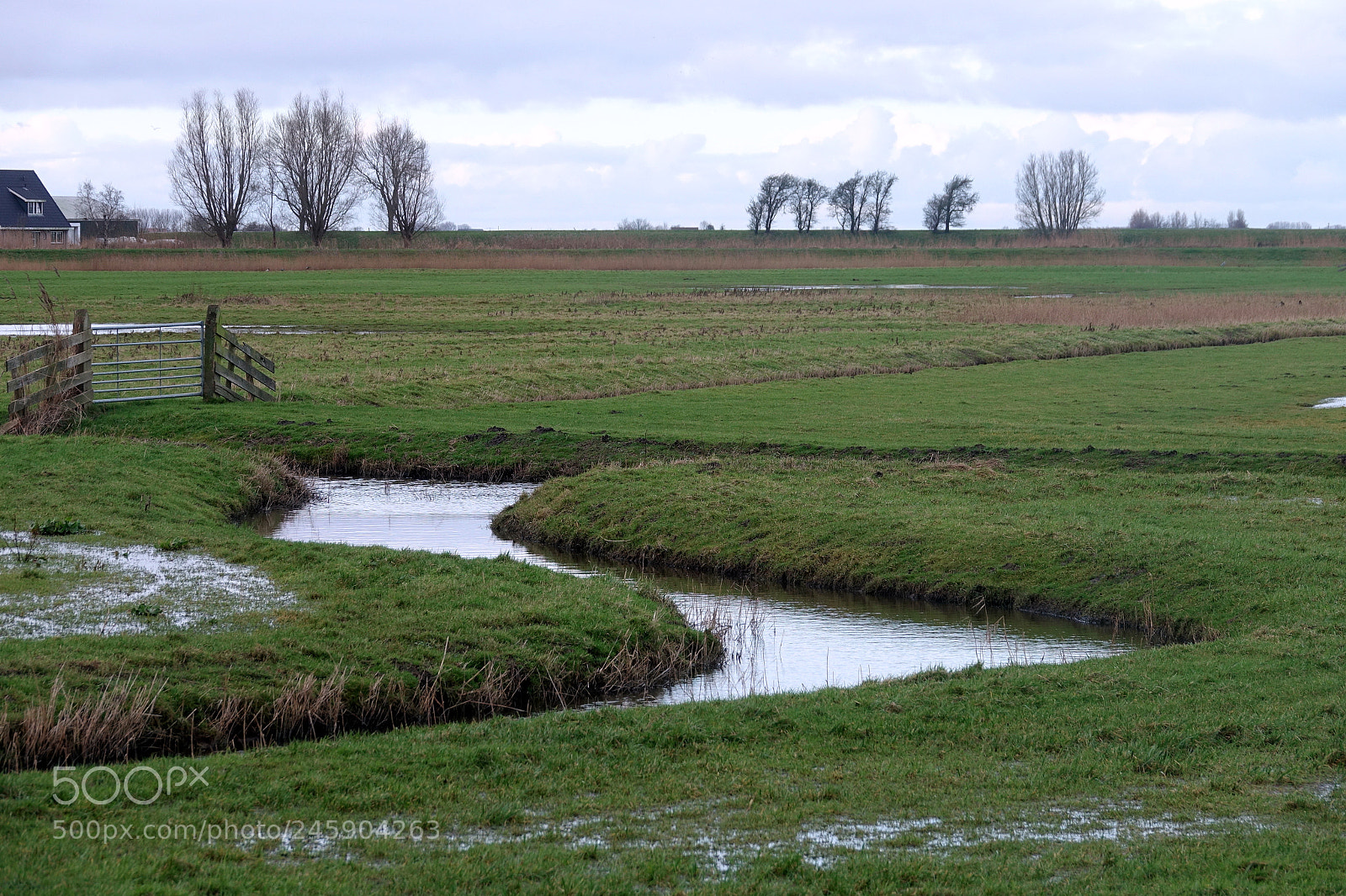 Sony Cyber-shot DSC-RX10 III sample photo. Tortuous ditches in a photography