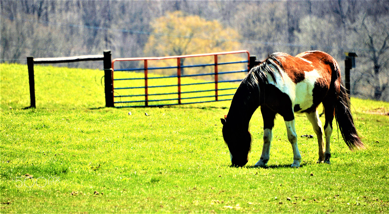 Nikon D610 sample photo. Beautiful place to live photography