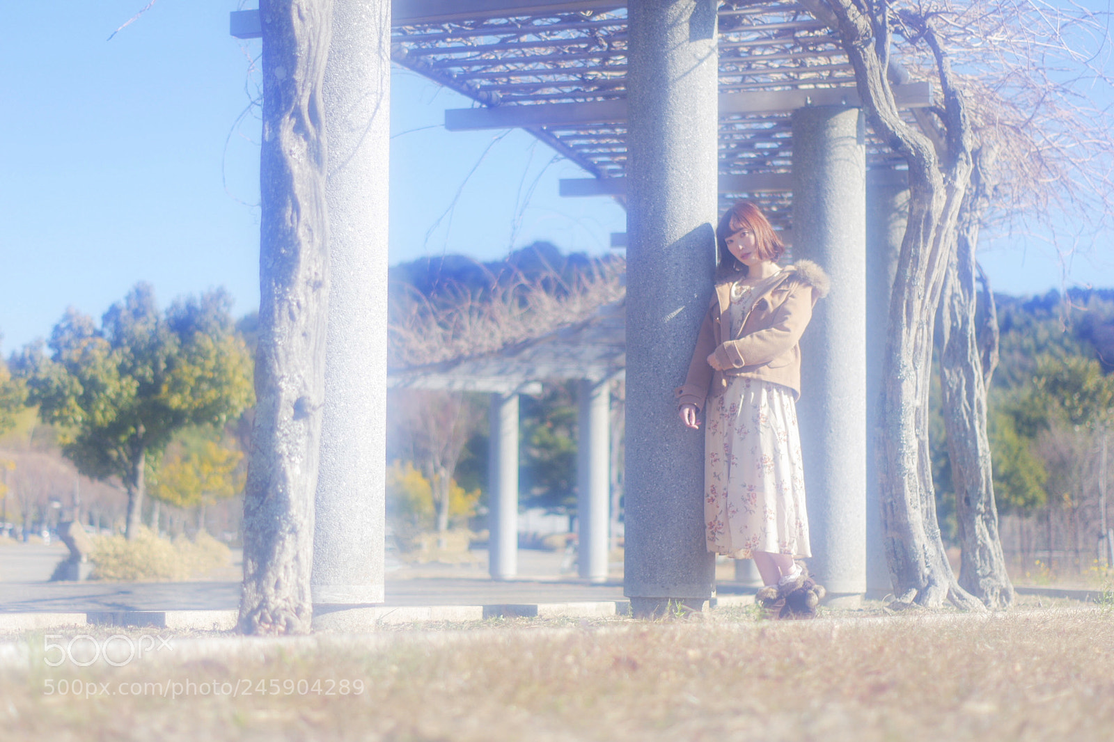 Pentax K-3 sample photo. Like a legend of photography